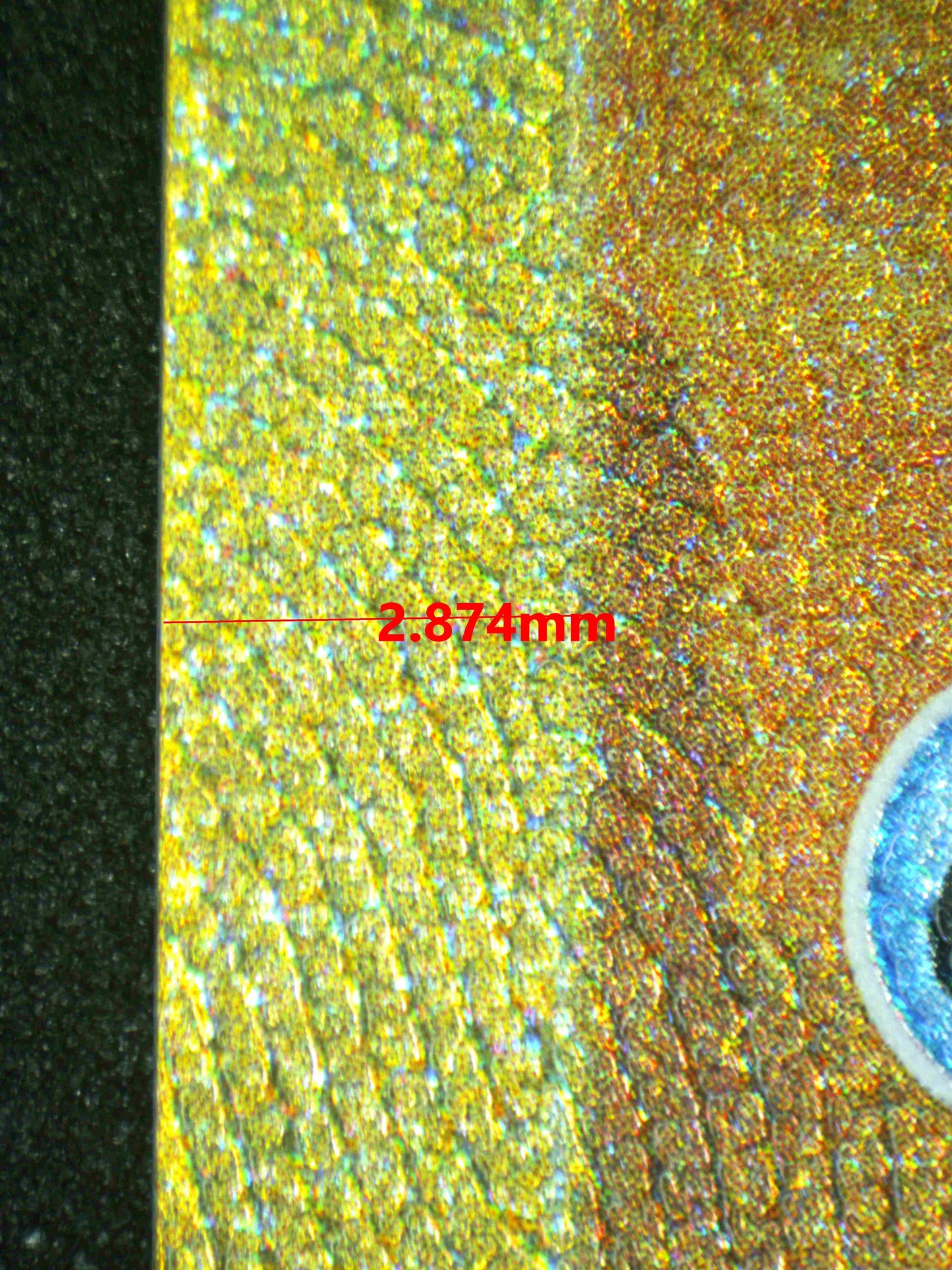 08146 ORIGIN FORME PALKIA VSTAR Grading Card