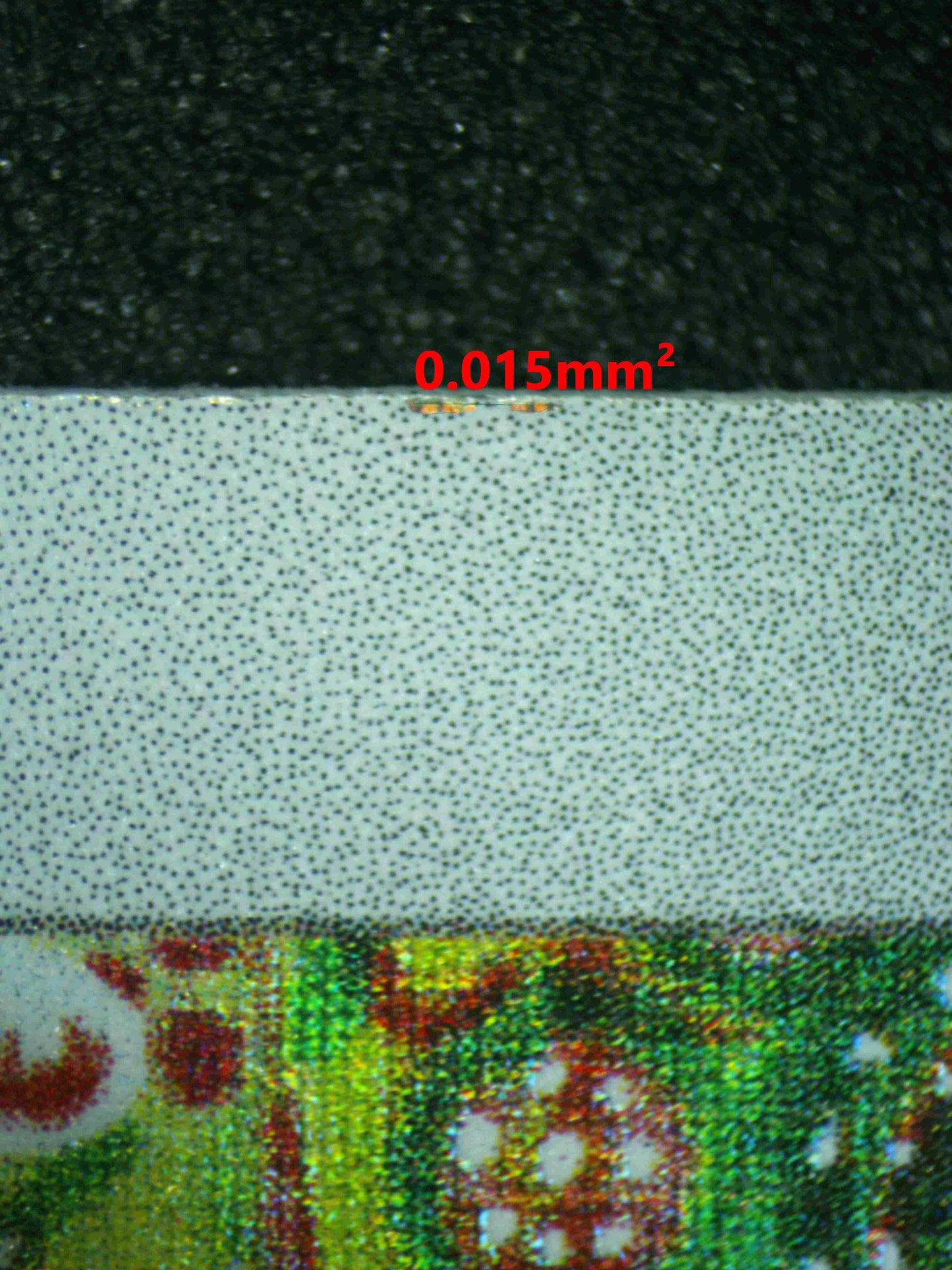 08147 SEISMITOAD Grading Card