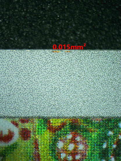 08147 SEISMITOAD Grading Card