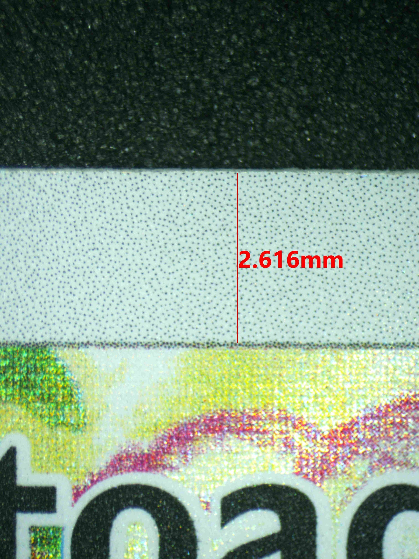 08147 SEISMITOAD Grading Card