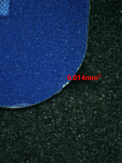 08182 CHARMANDER Grading Card