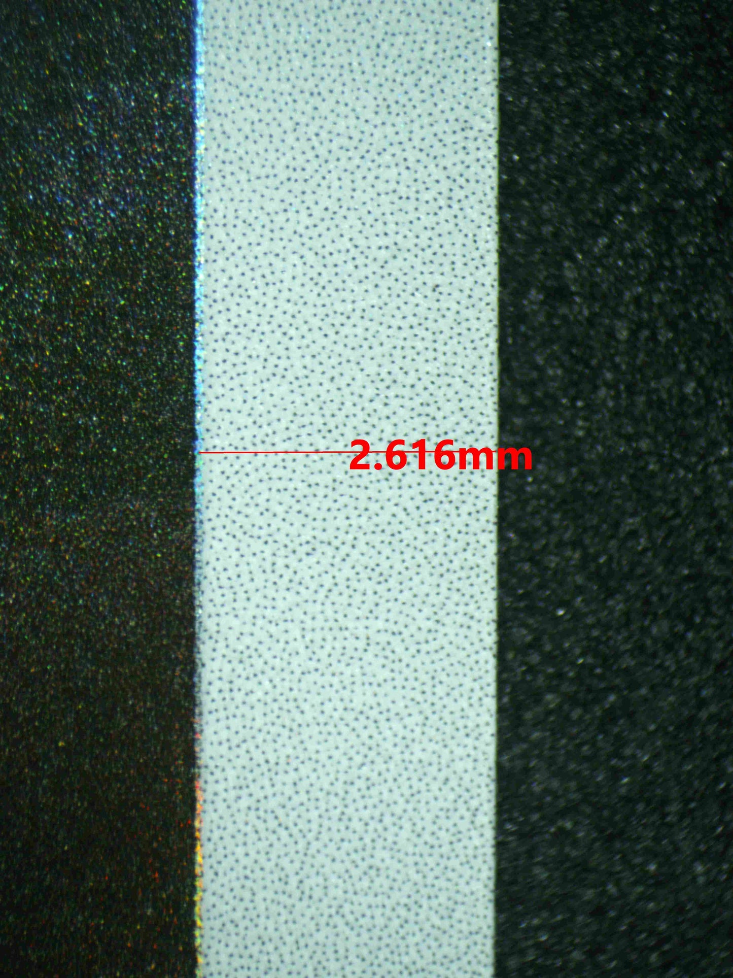 08182 CHARMANDER Grading Card