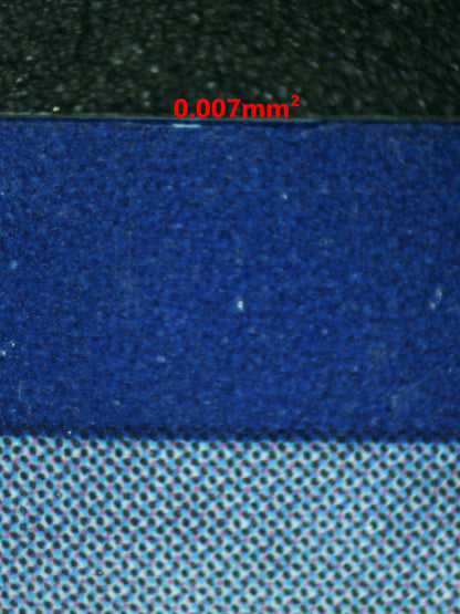 08186 CYNTHIA'S AMBITION Grading Card