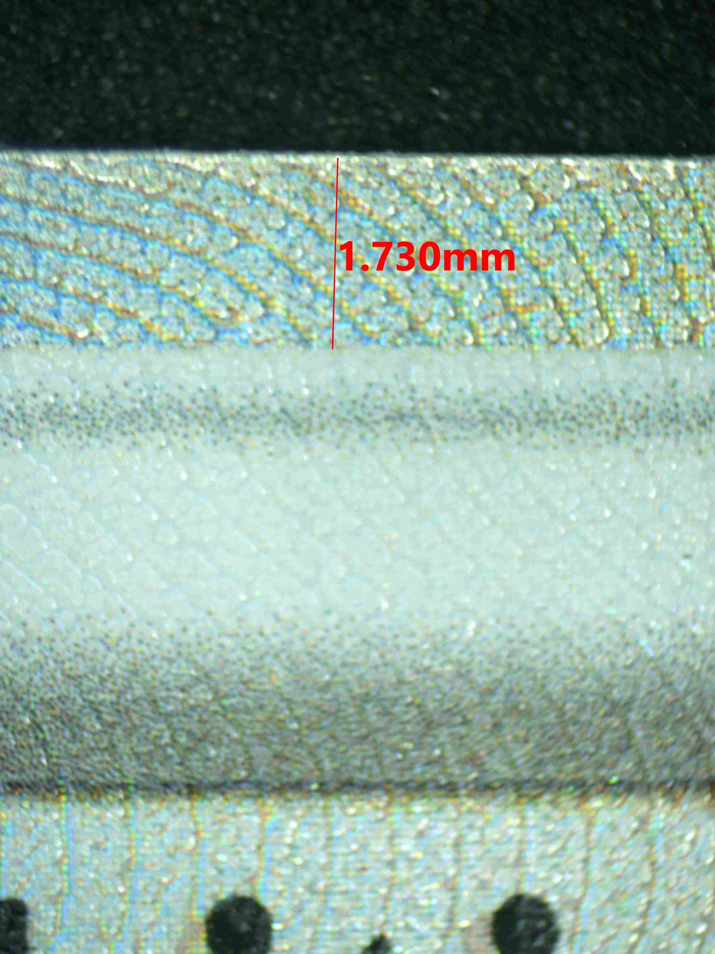 08186 CYNTHIA'S AMBITION Grading Card