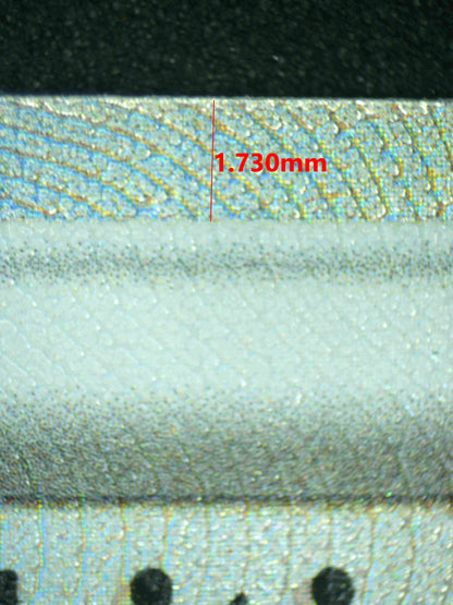 08186 CYNTHIA'S AMBITION Grading Card