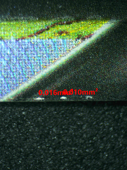 08187 CHARIZARD V Grading Card