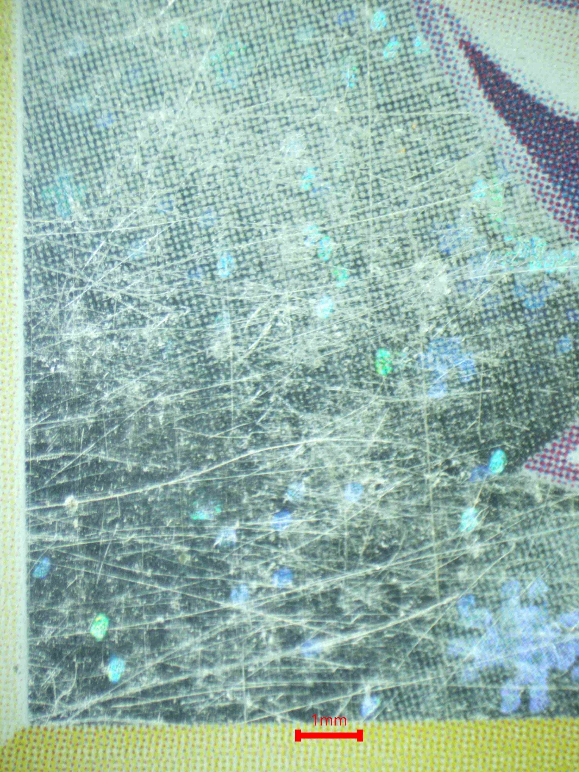 08142 ESPEON Grading Card