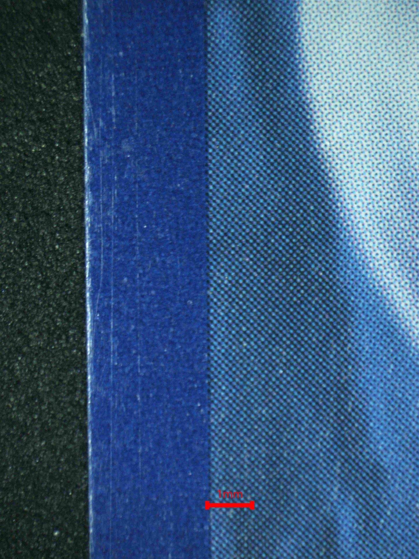 08208 TANDEMAUS Grading Card