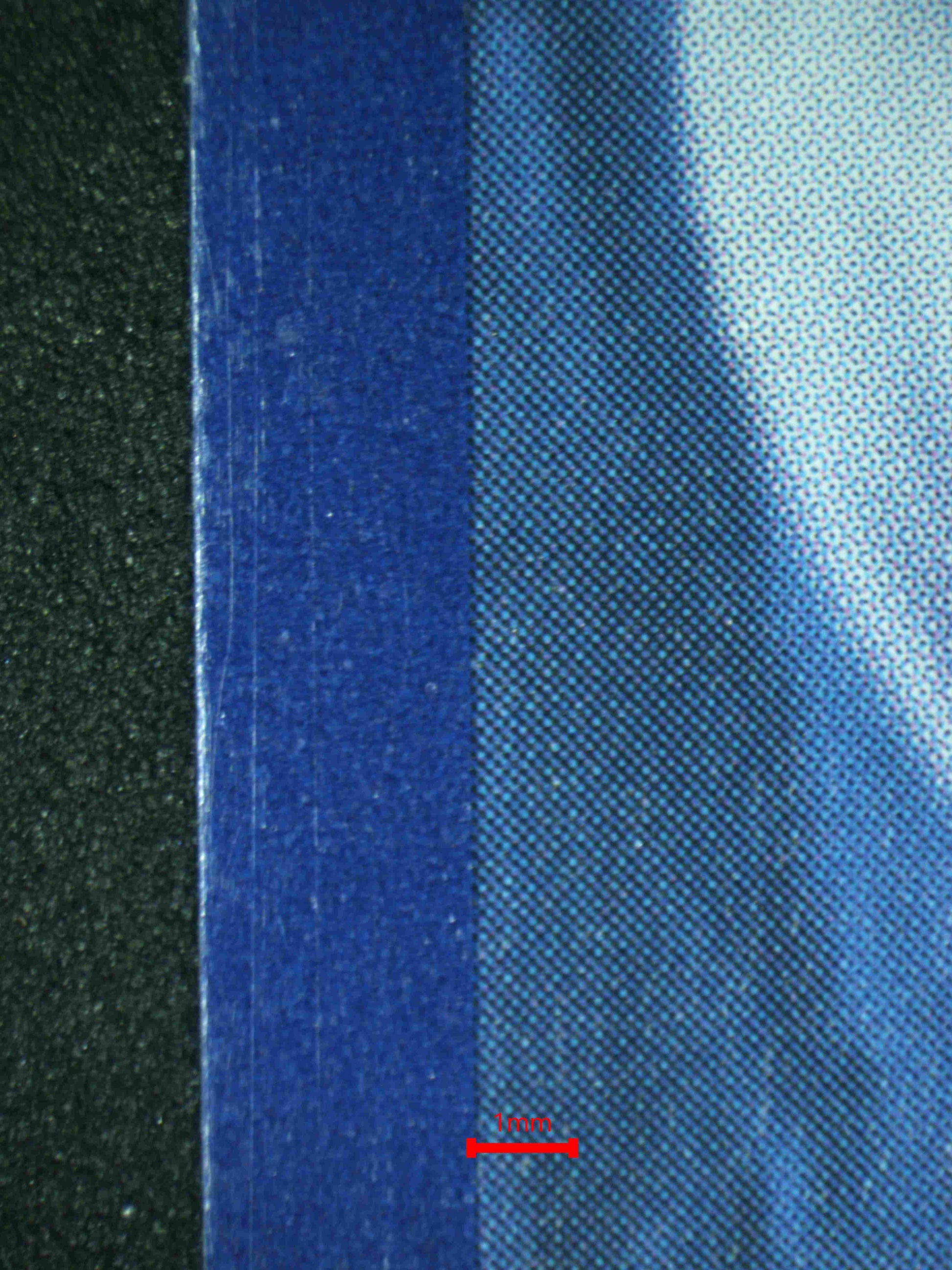 08208 TANDEMAUS Grading Card