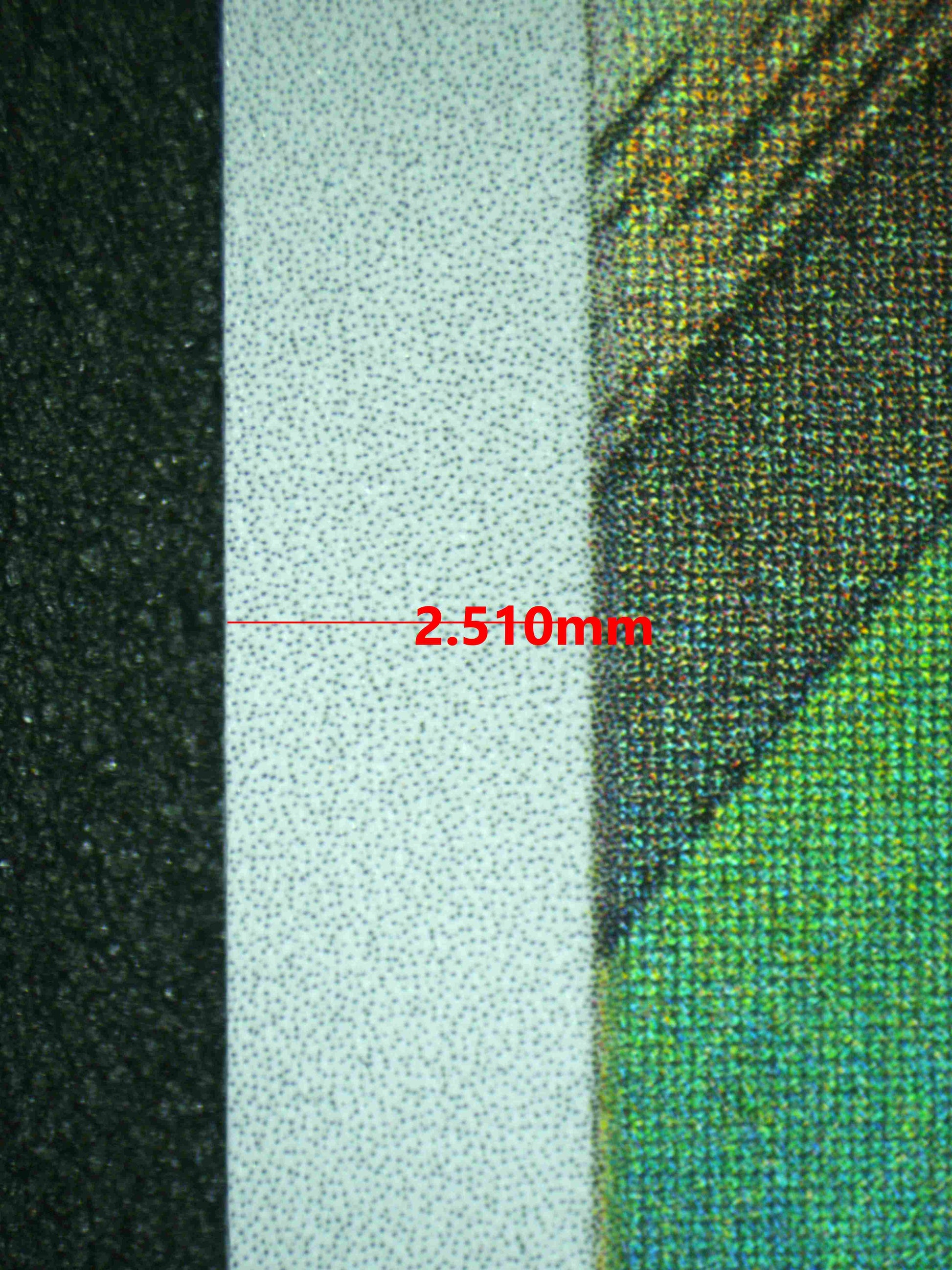 08225 EEVEE Grading Card