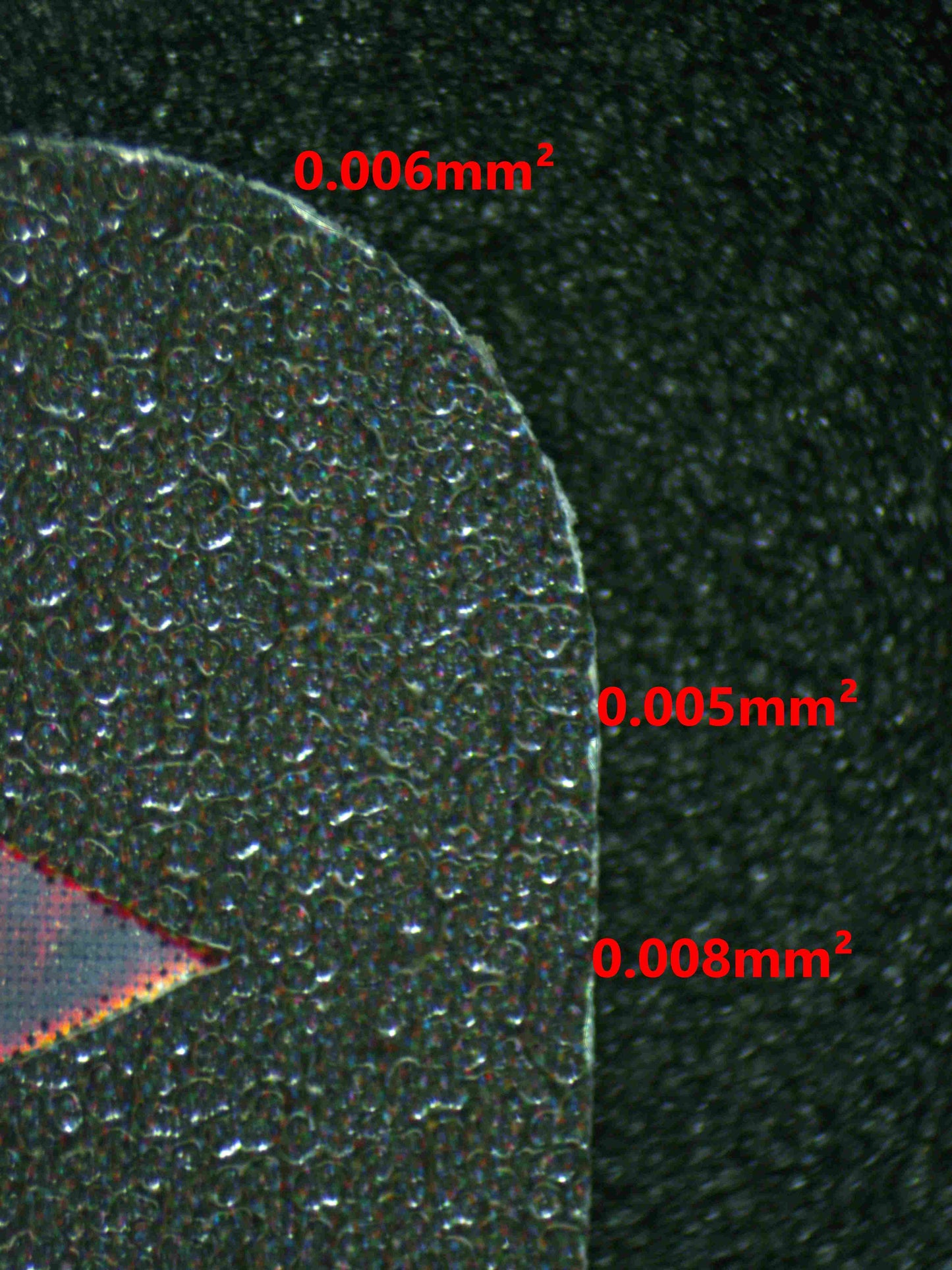 08191 MODERNIA - FIRST AFFECTION (KOREAN) Grading Card