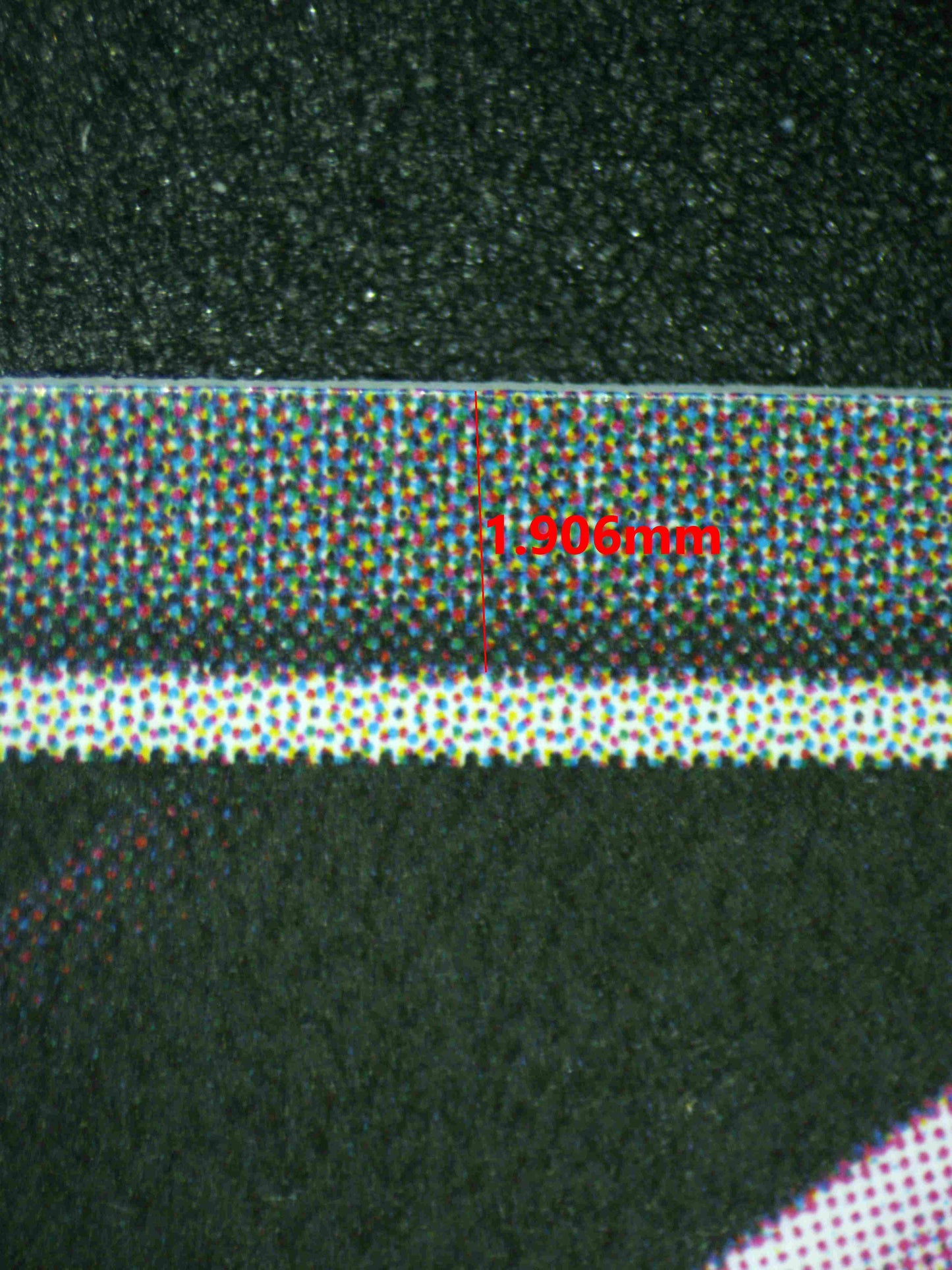 08191 MODERNIA - FIRST AFFECTION (KOREAN) Grading Card