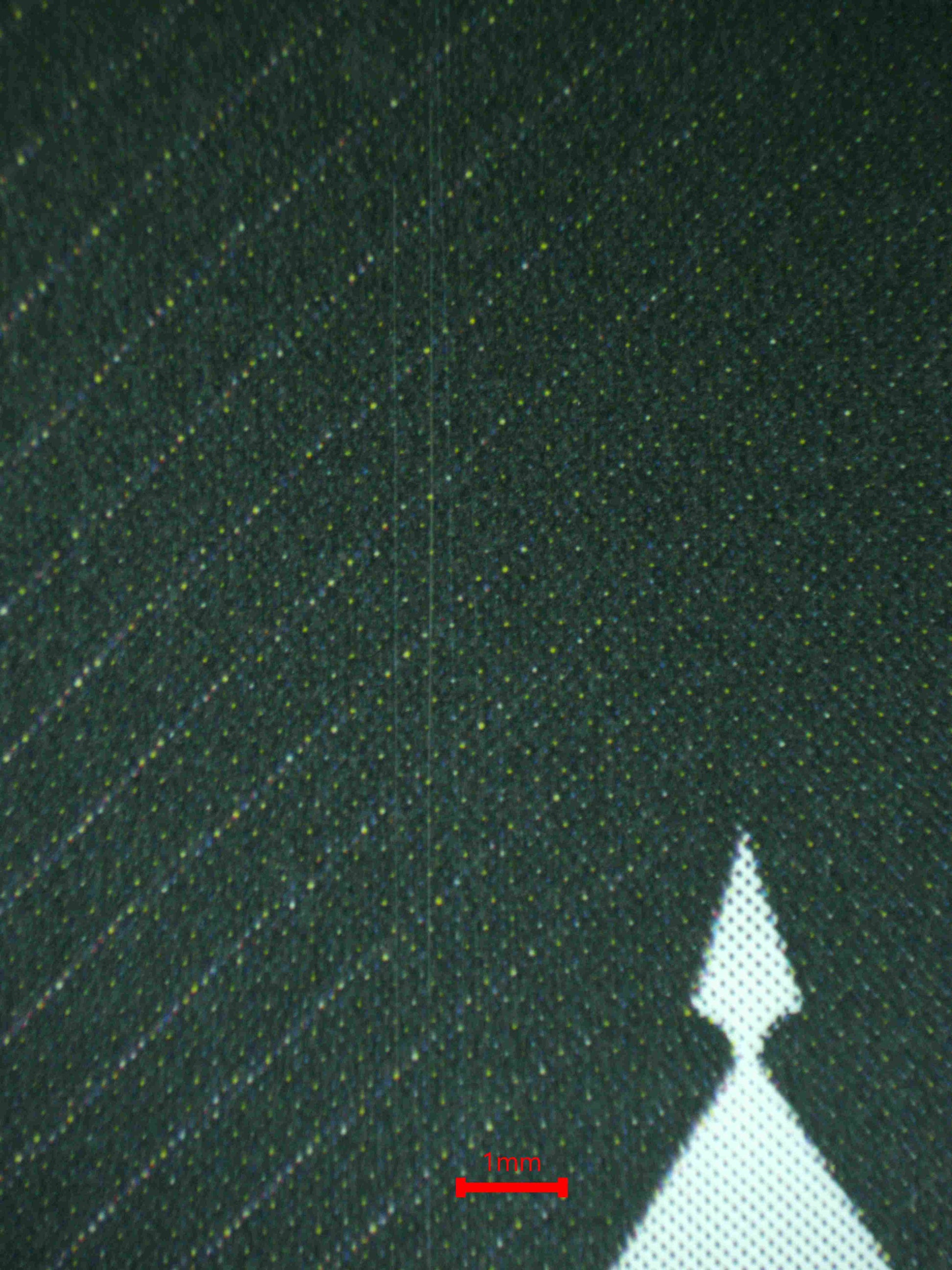 08192 LITTLE MERMAID - ABYSS FLOWER (KOREAN) Grading Card