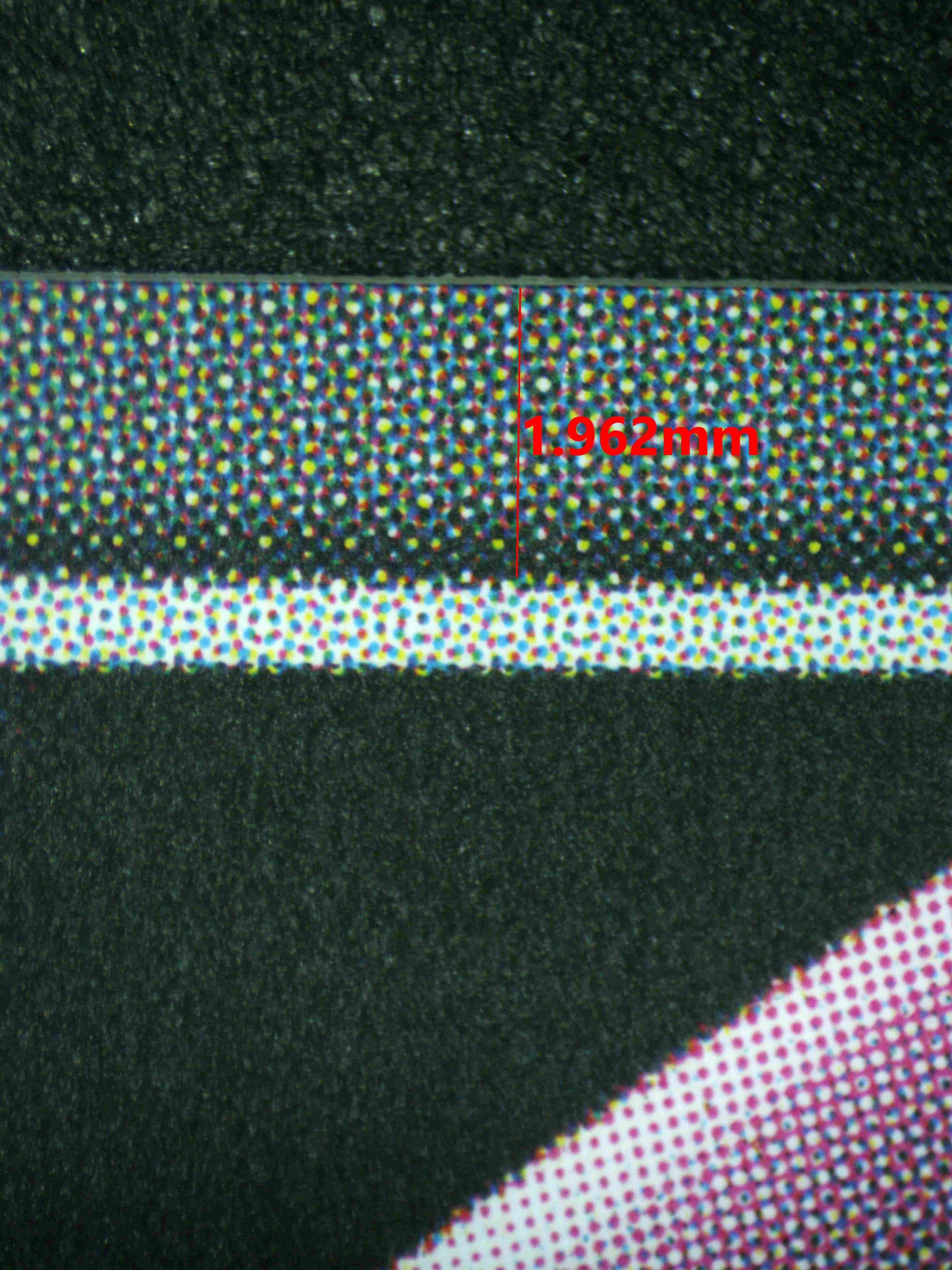 08192 LITTLE MERMAID - ABYSS FLOWER (KOREAN) Grading Card