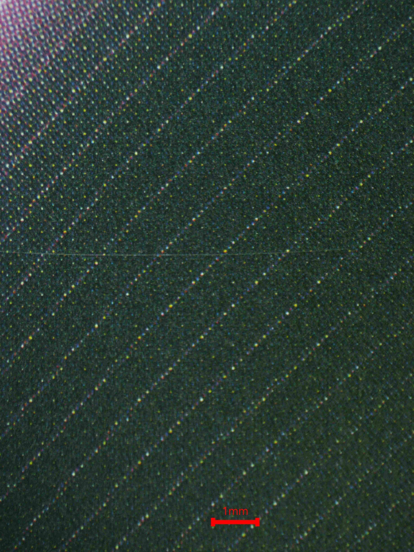 08194 CINDERELLA (KOREAN) Grading Card