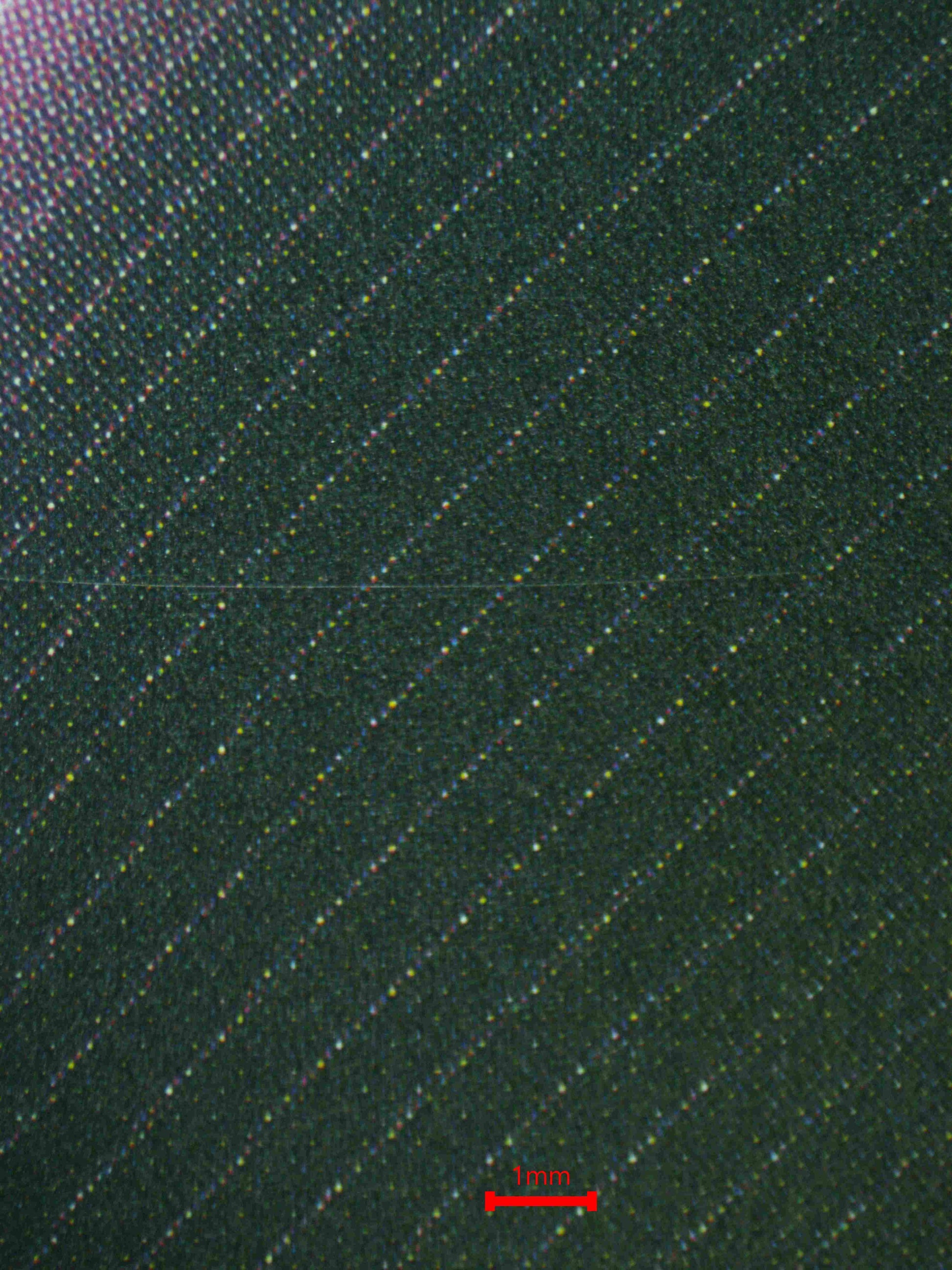 08194 CINDERELLA (KOREAN) Grading Card