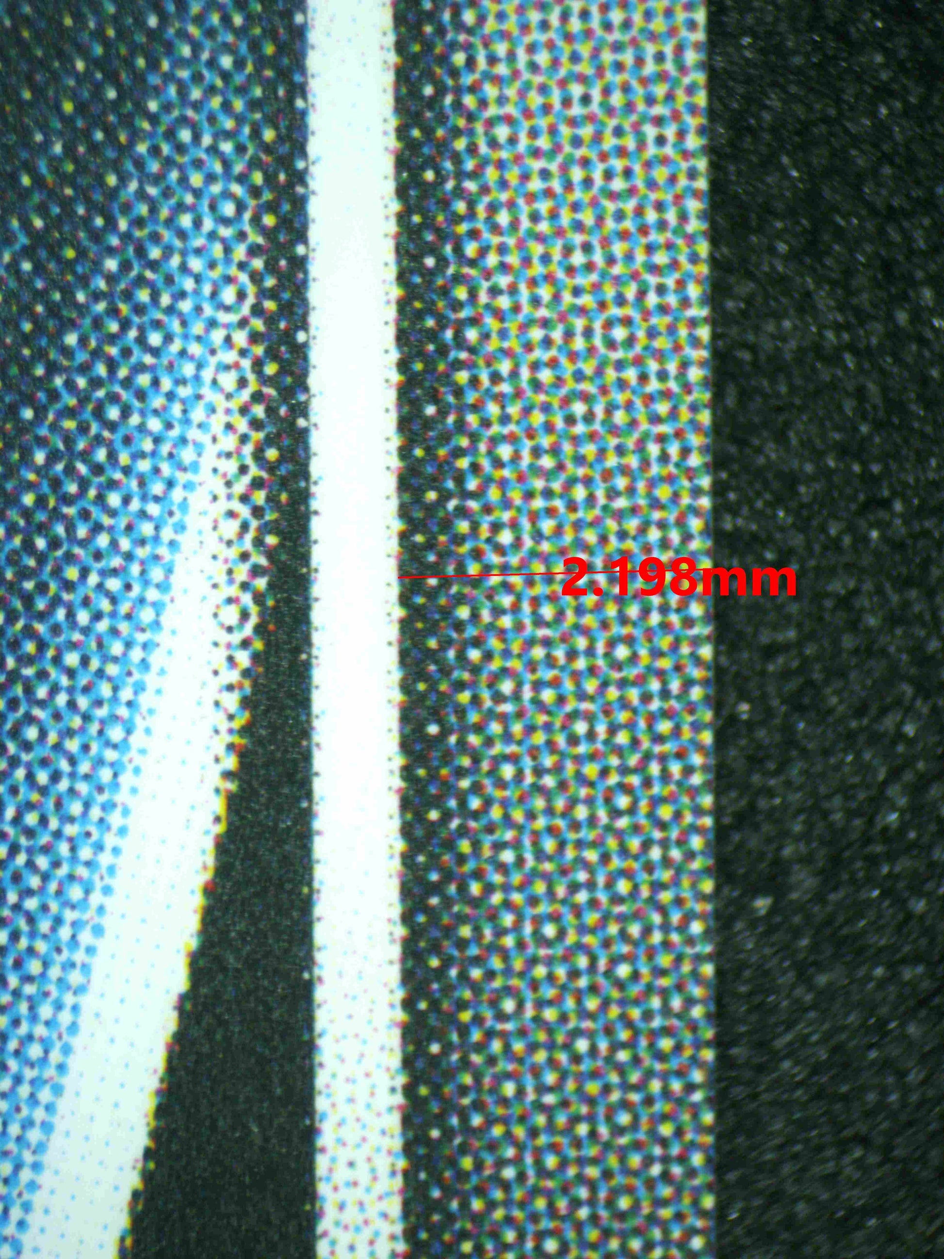 08194 CINDERELLA (KOREAN) Grading Card