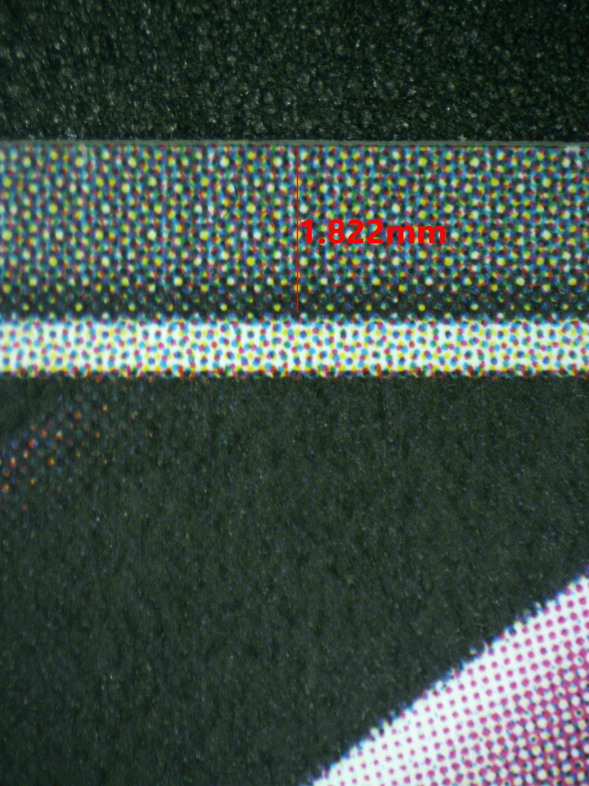 08195 CROWN - NAKED KING (KOREAN) Grading Card