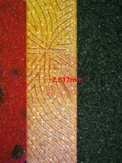 08205 EEVEE EX (SPANISH) Grading Card