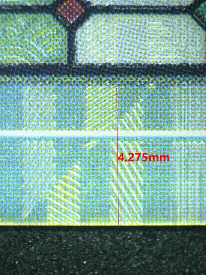 08218 MITSURI KANROJI (JAPANESE) Grading Card