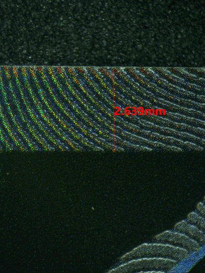 08248 ZEKROM EX Grading Card