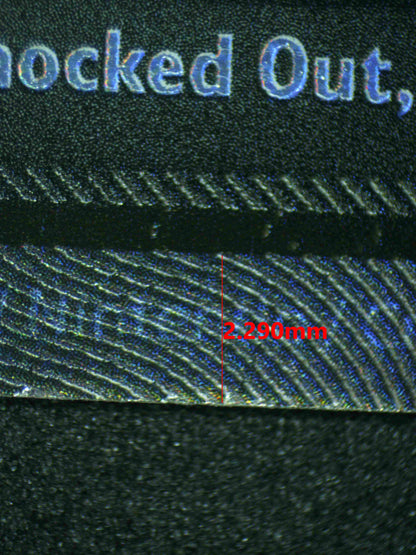 08248 ZEKROM EX Grading Card