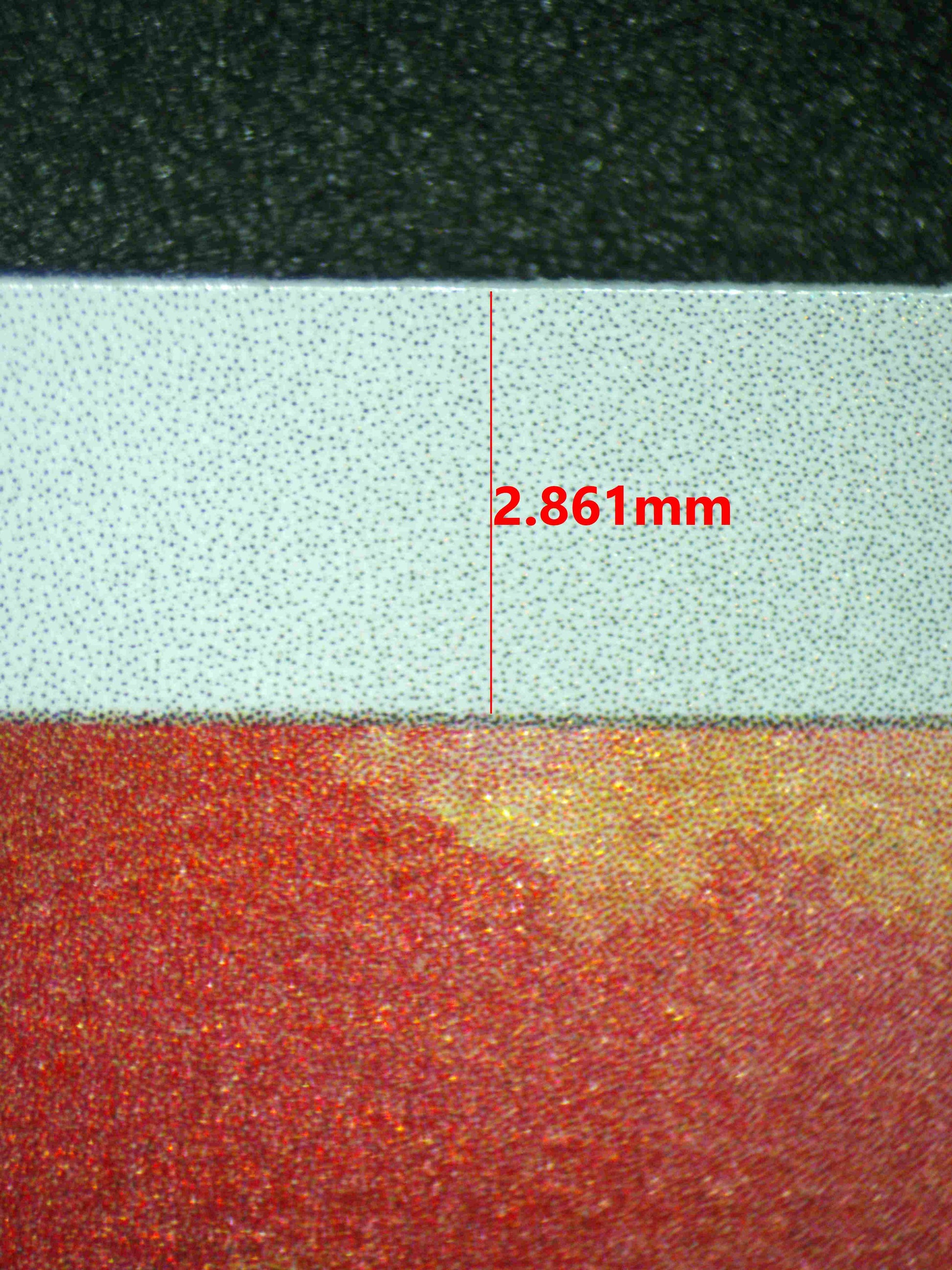 08231 LARVESTA Grading Card