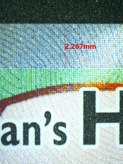 08238 ETHAN'S HO-OH EX Grading Card