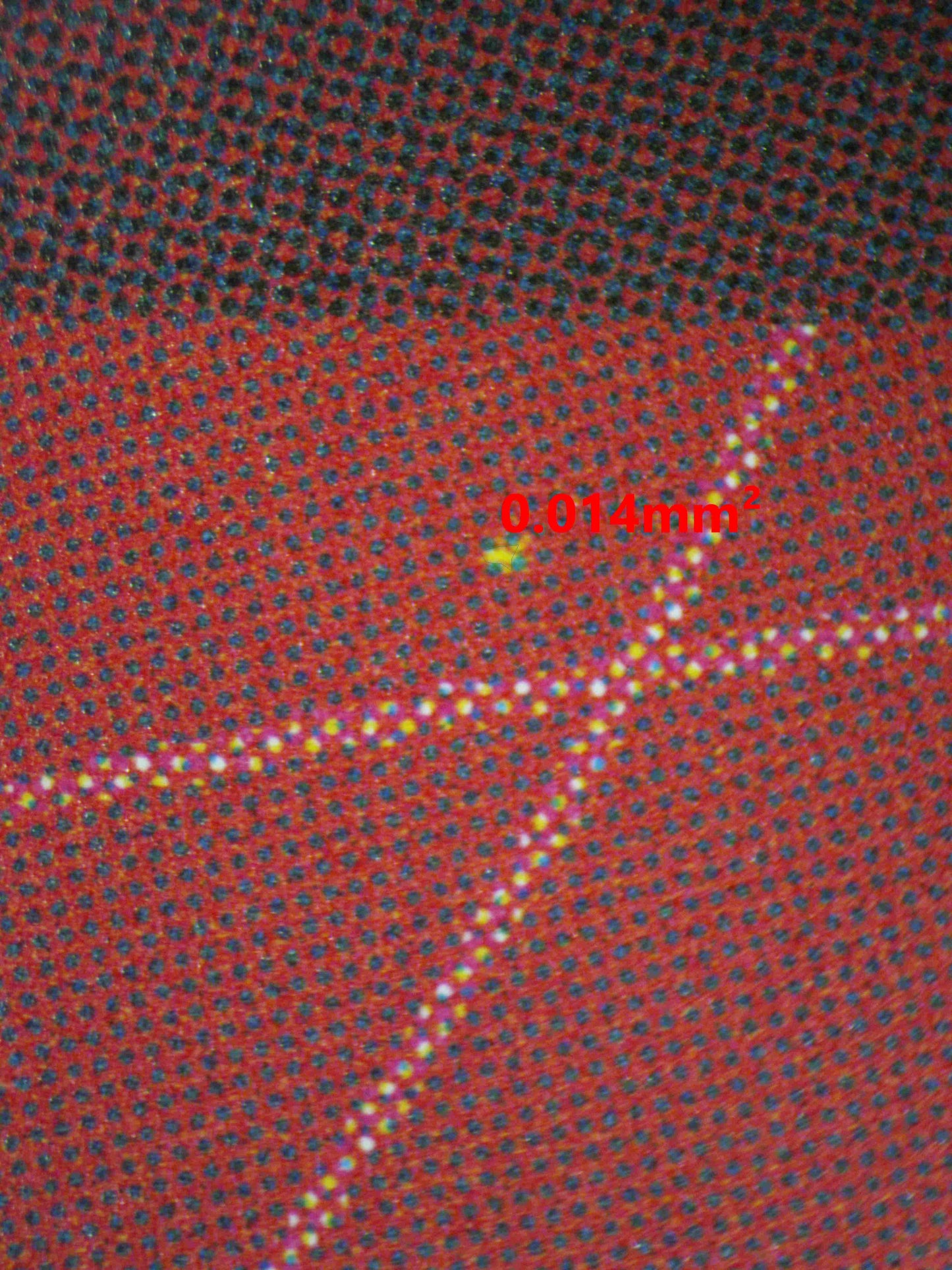 08251 SHNKS Grading Card