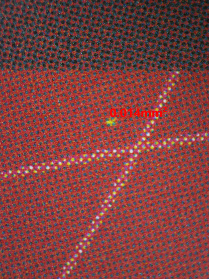 08251 SHNKS Grading Card