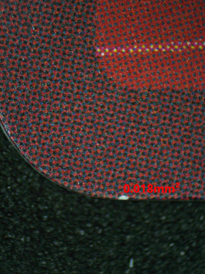 08251 SHNKS Grading Card