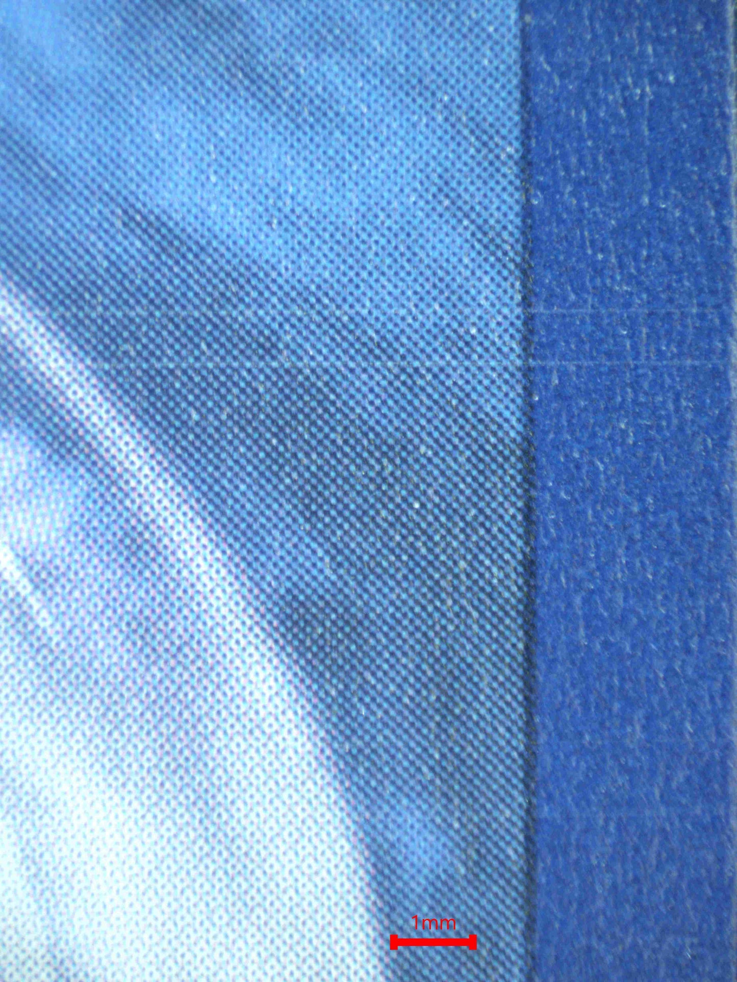 08257 DACHSBUN EX Grading Card