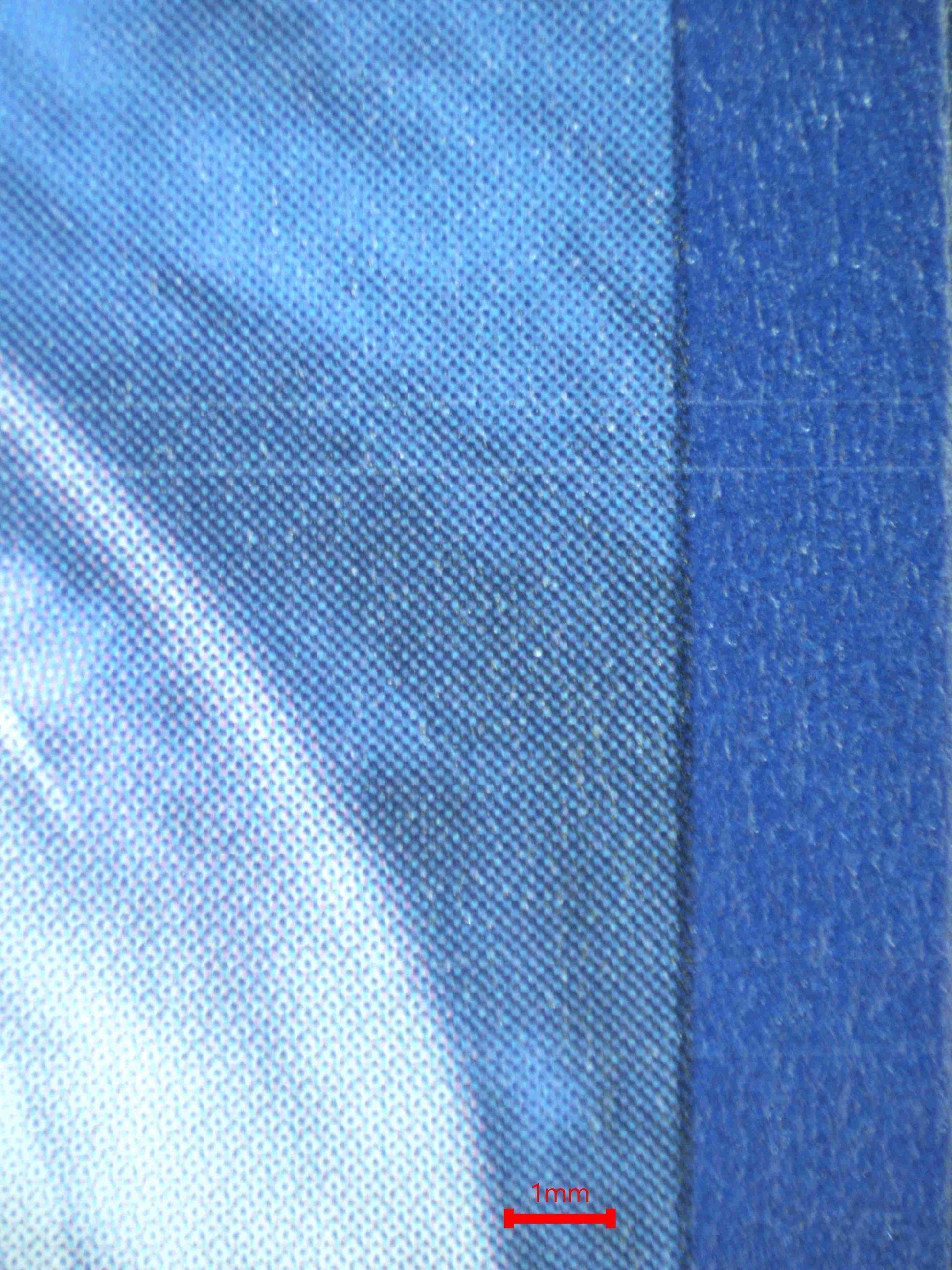 08257 DACHSBUN EX Grading Card