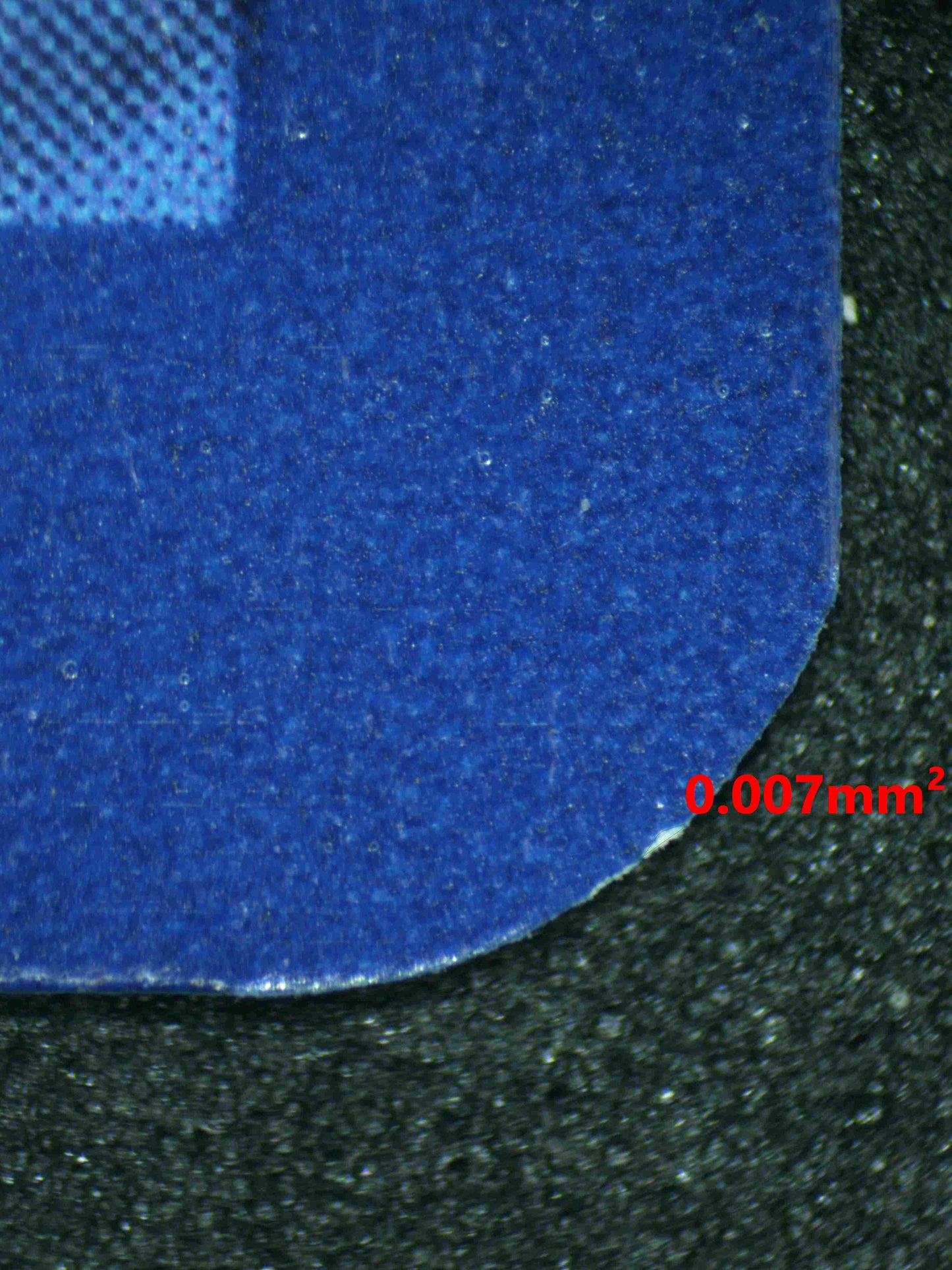 08257 DACHSBUN EX Grading Card