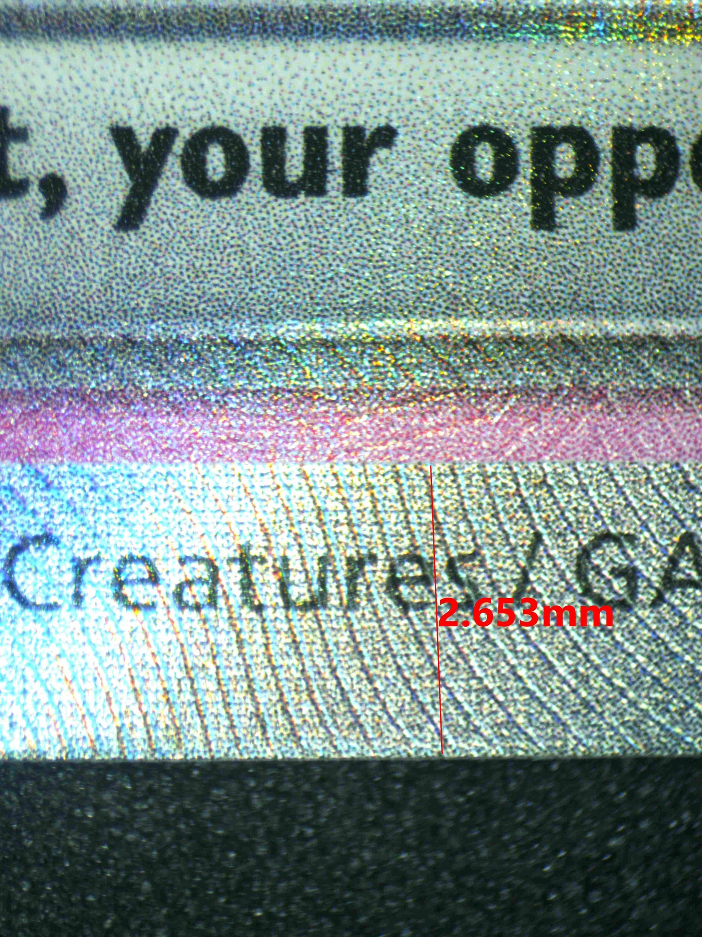 08257 DACHSBUN EX Grading Card