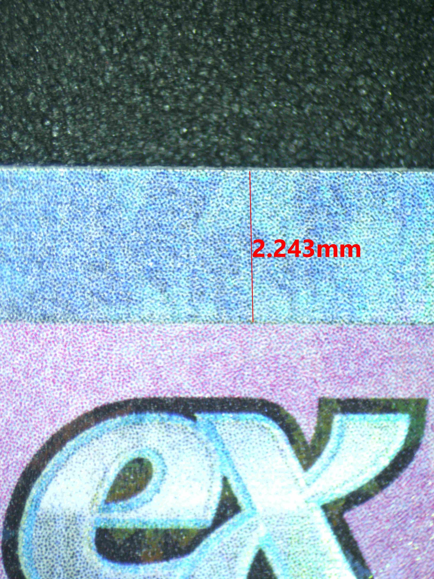 08256 DACHSBUN EX Grading Card