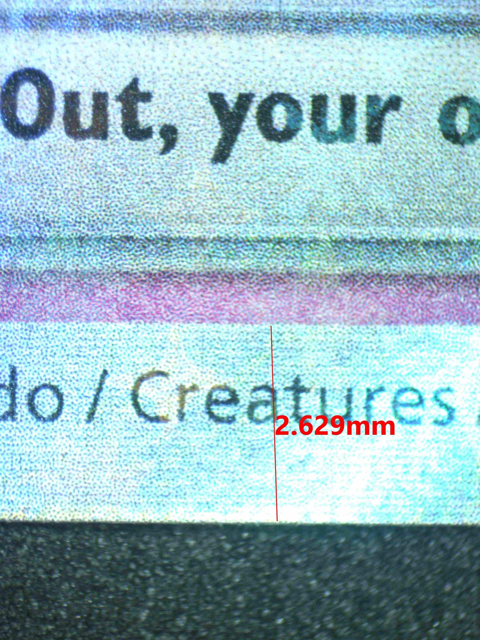 08256 DACHSBUN EX Grading Card