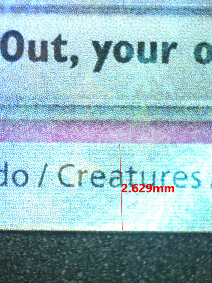 08256 DACHSBUN EX Grading Card