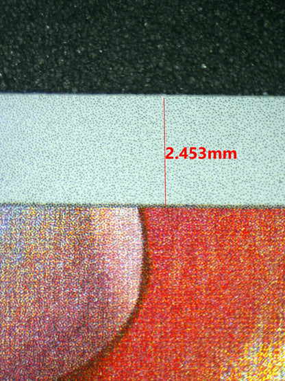 08258 RIOLU Grading Card