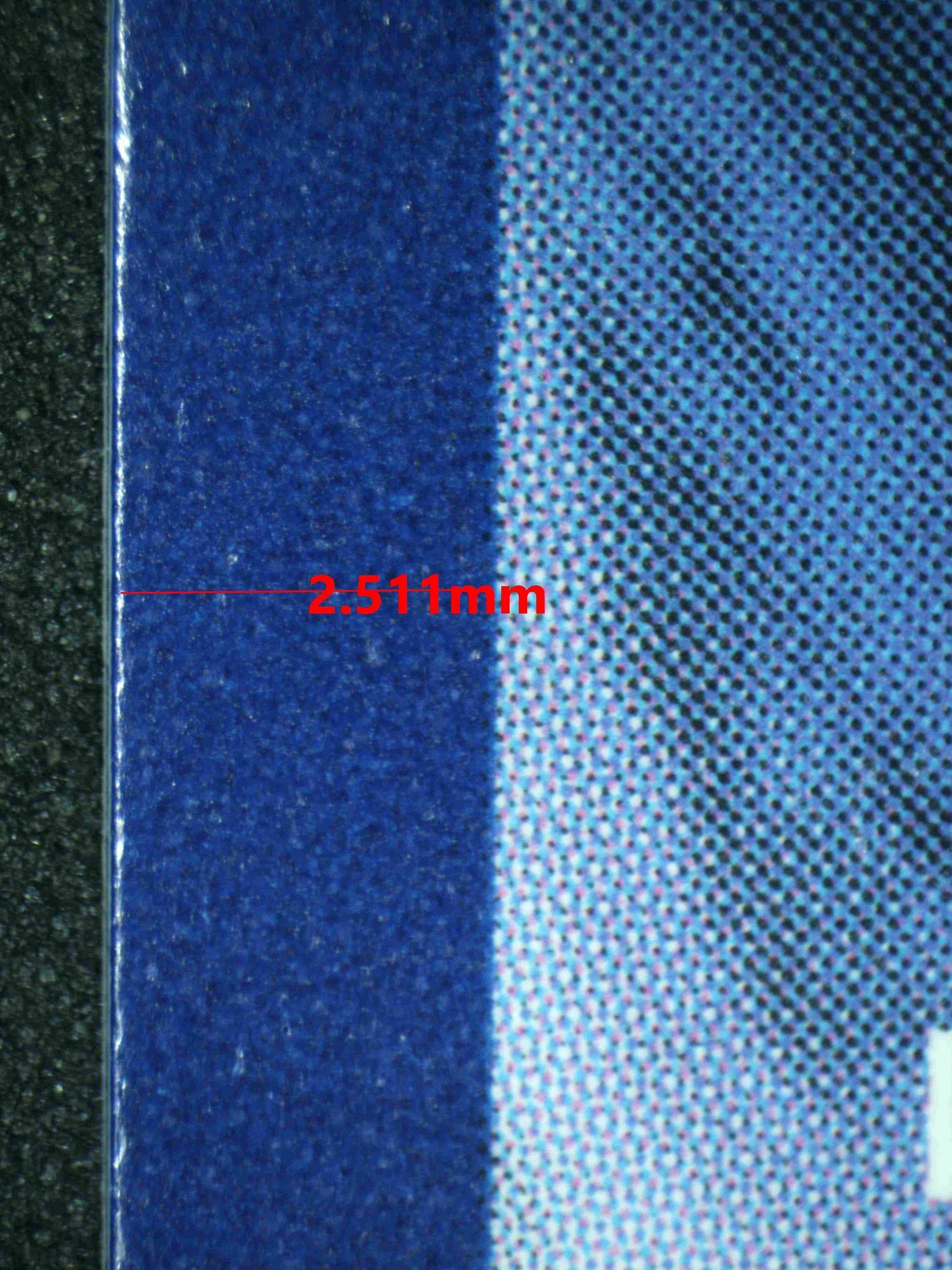 08259 ETHAN'S HO-OH EX Grading Card