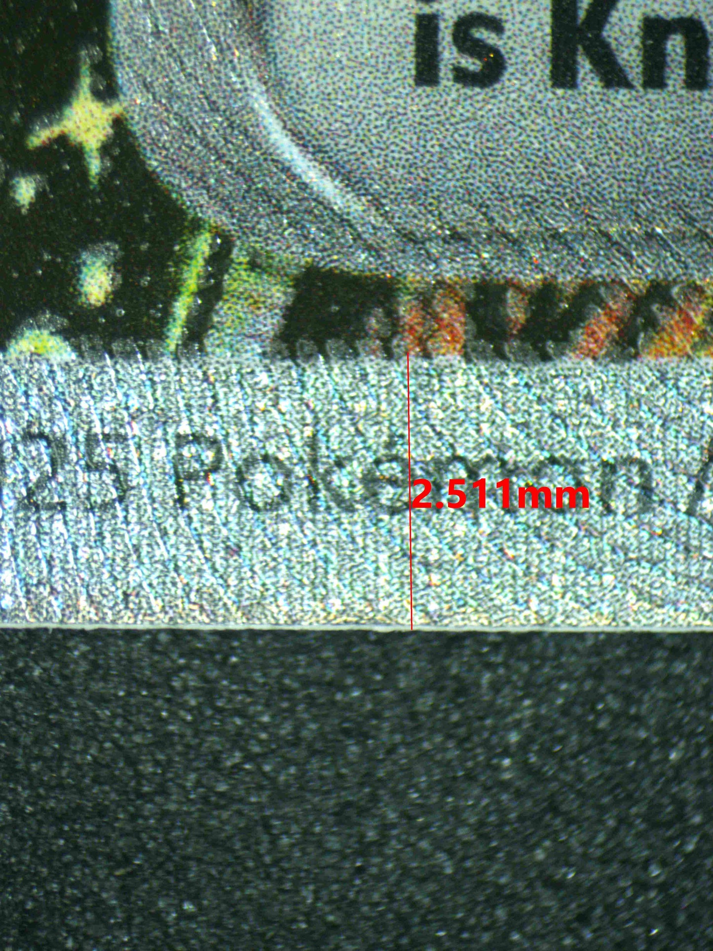 08277 ROARING MOON EX Grading Card