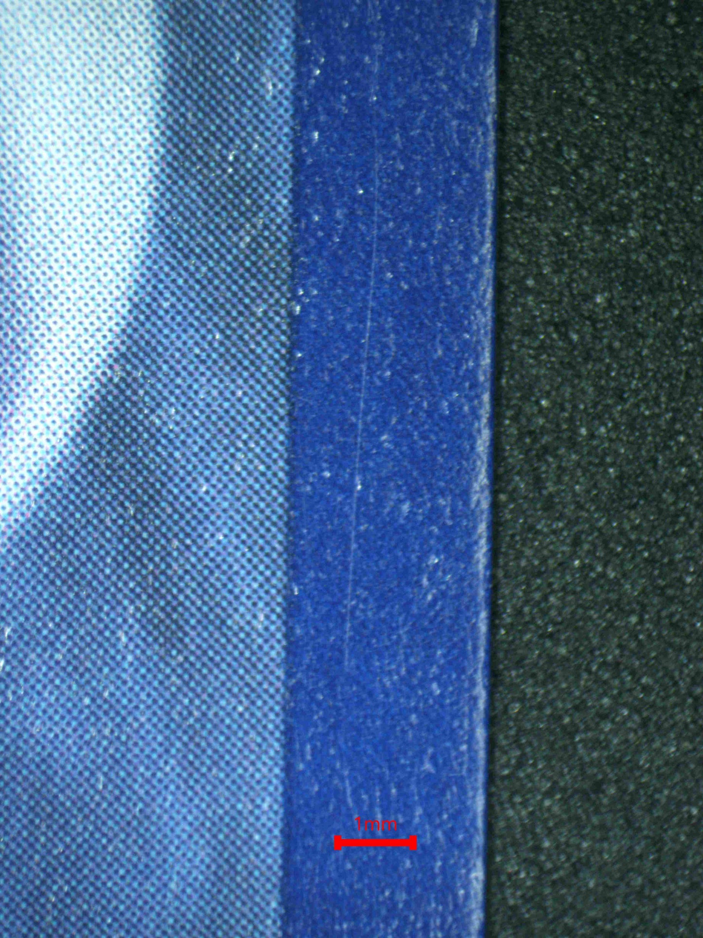 08277 ROARING MOON EX Grading Card