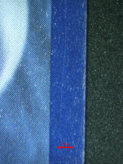 08277 ROARING MOON EX Grading Card