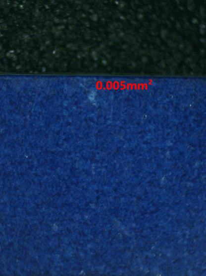 08278 VICTINI Grading Card