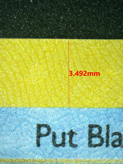 08289 BLASTOISE Grading Card