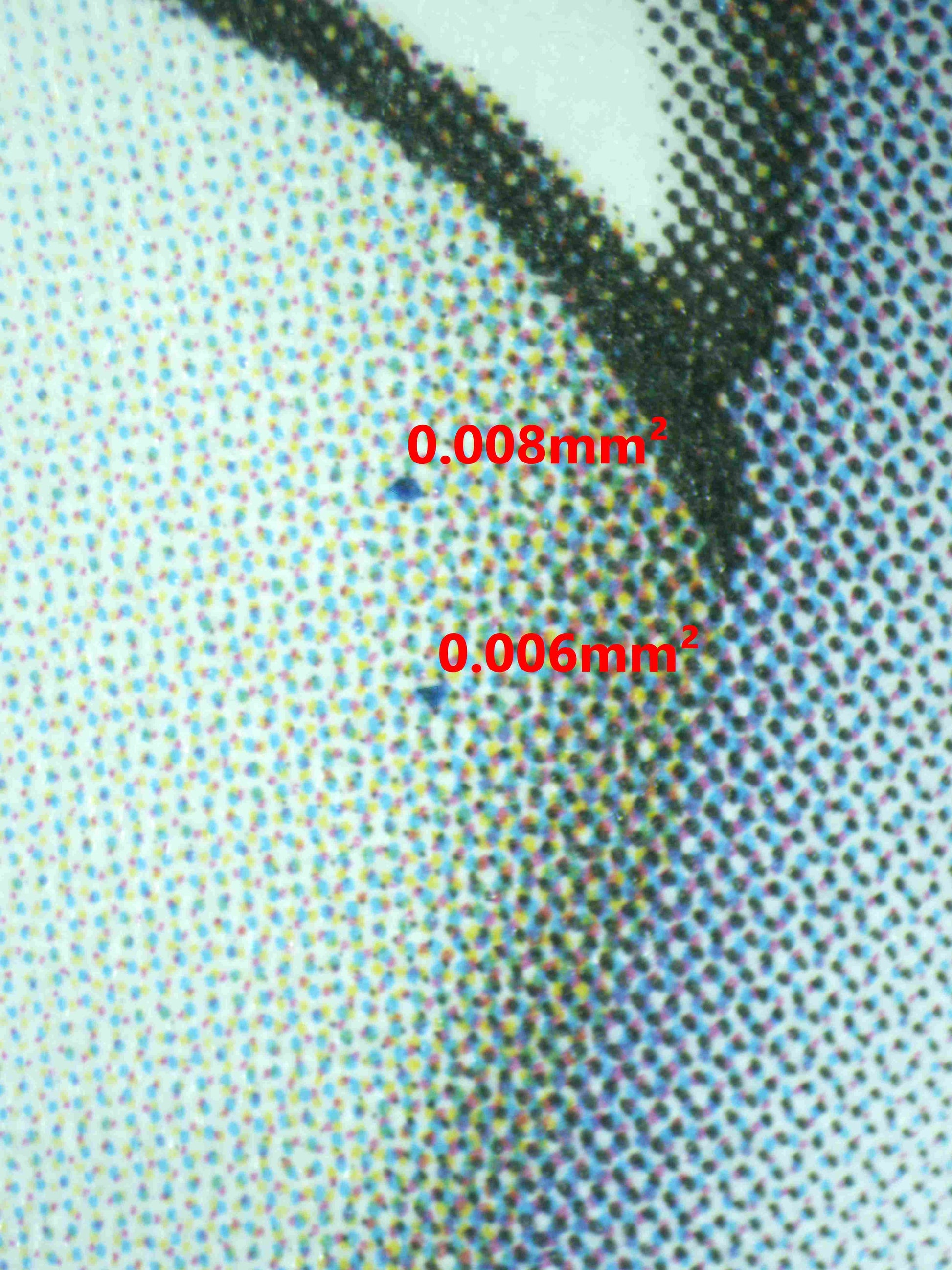 08289 BLASTOISE Grading Card