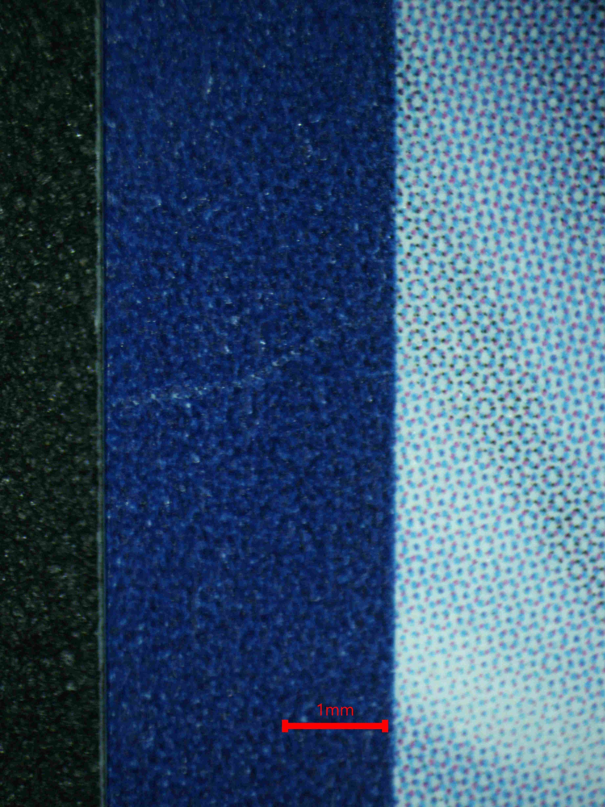 08291 DARKRAI VSTAR Grading Card