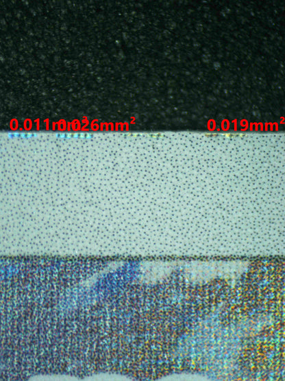 08294 N'S RESHIRAM Grading Card