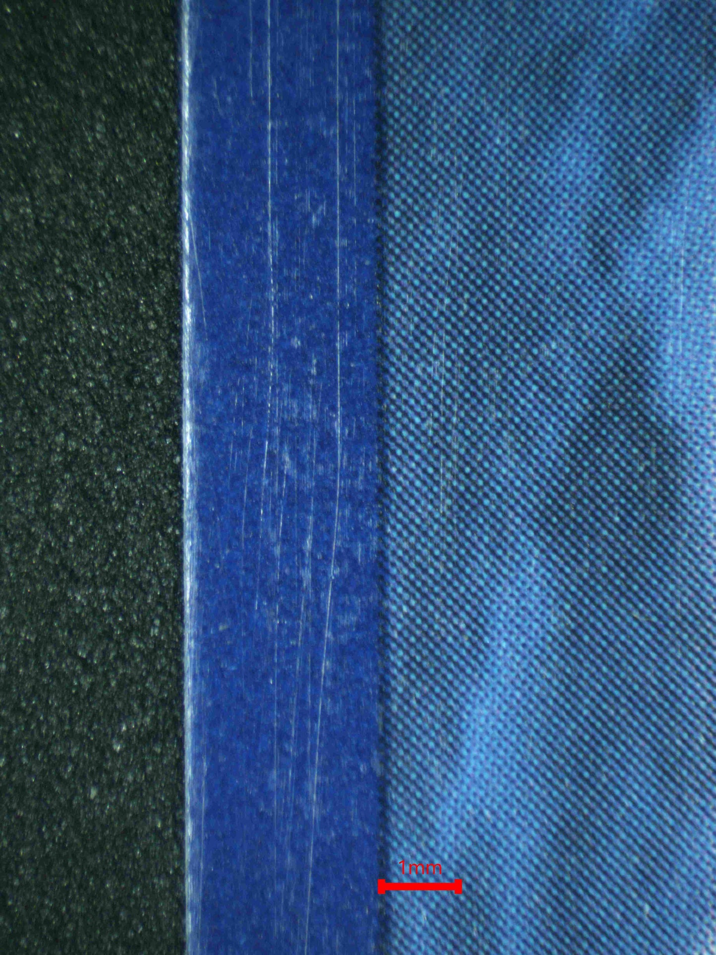 08295 CHARMANDER Grading Card