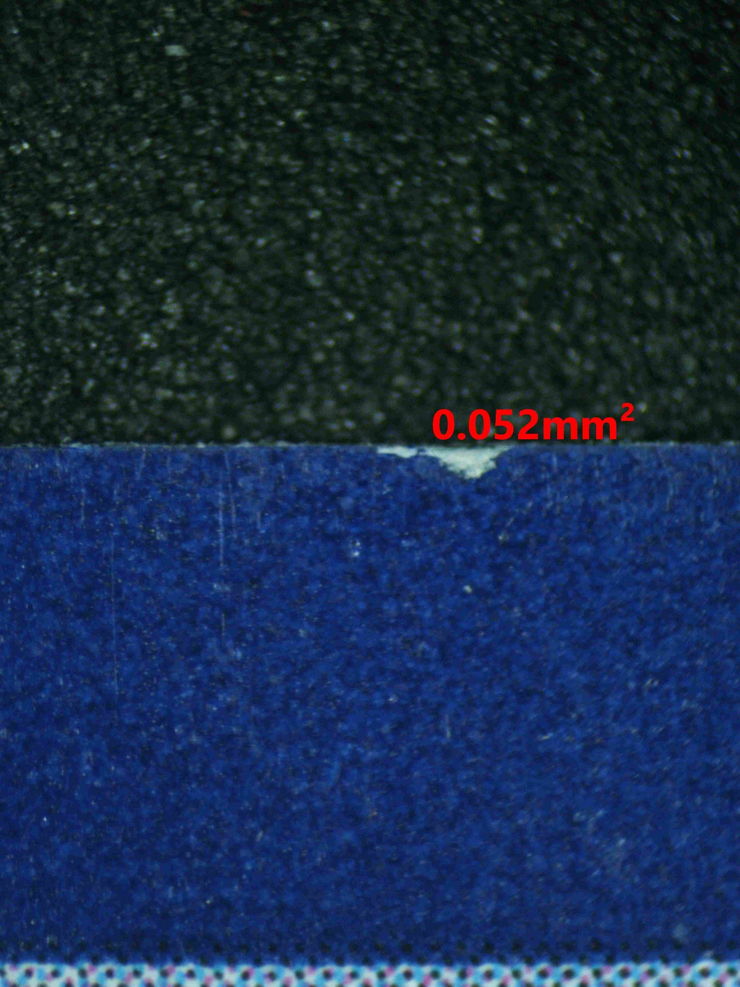 08295 CHARMANDER Grading Card